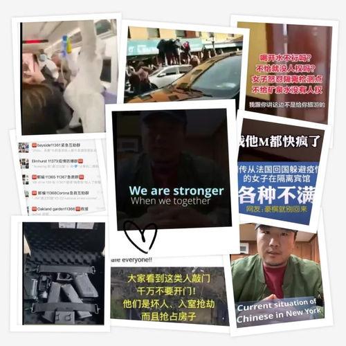 特朗普职业爆料视频播放,揭秘政坛幕后真相